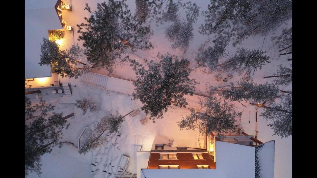 Gite Du Haut Des Arbres Chicoutimi Εξωτερικό φωτογραφία
